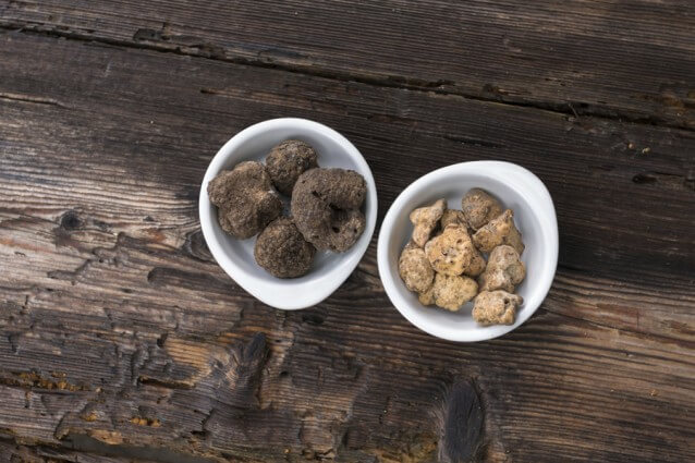 What is the difference between white truffles and black truffles?